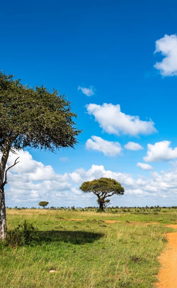 Kenya